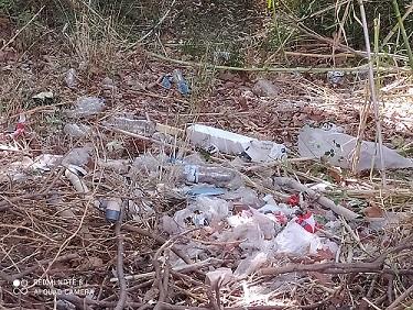 Τριχωνίδα -2